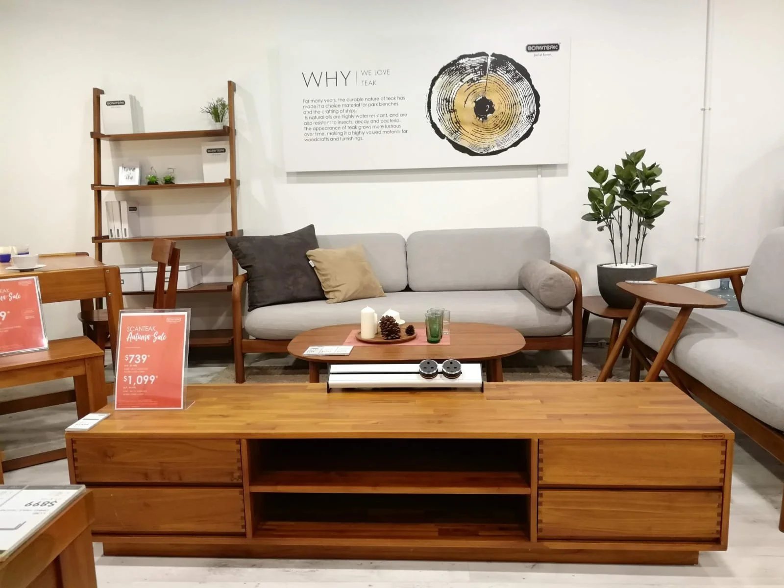 Line8 Model SL track in Burmese Teak above a living room coffee table
