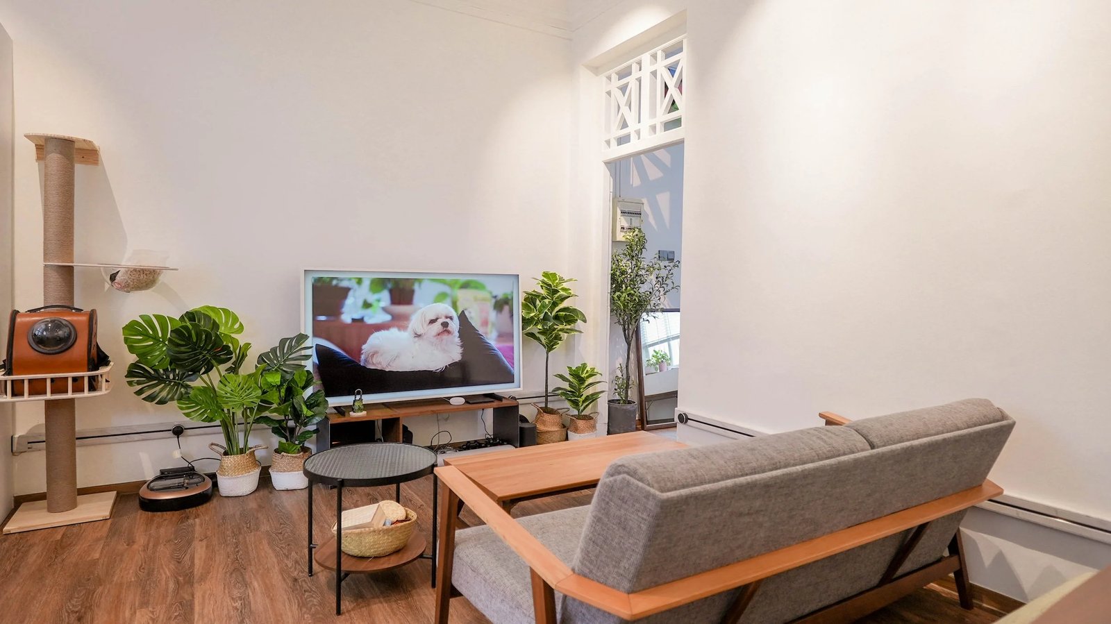 Line8 Model SL track in Black Hairline above a living room sofa